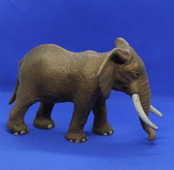 Afrikanischer Elefantenbulle 14341